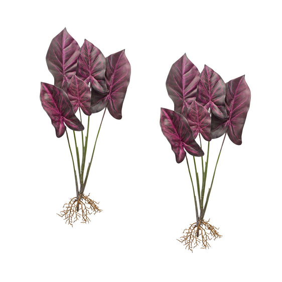 Burgundy-Caladium-Plant-with-Roots-Accent,-Set-of-2-Faux-Florals