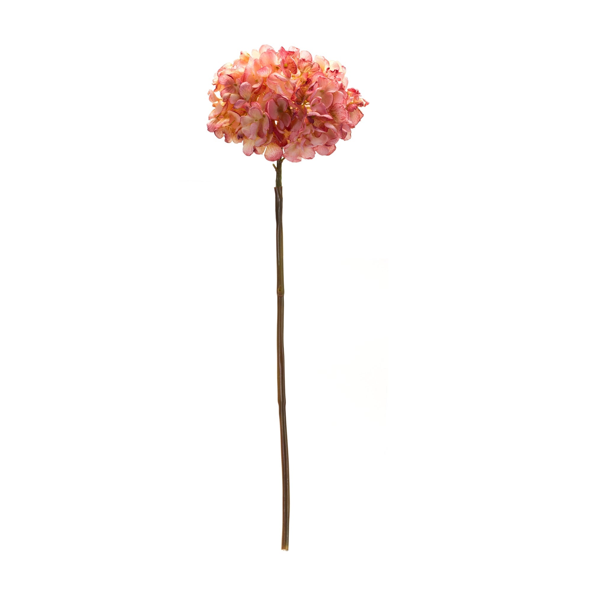 Coral Pink Hydrangea Flower Stem, Set of 6 - Pier 1