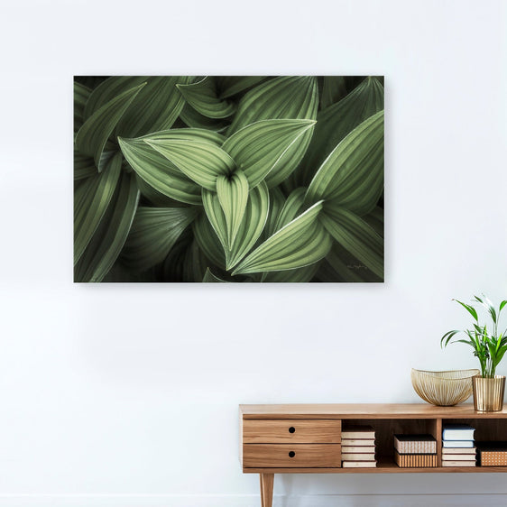 Corn Lily II Canvas Giclee - Pier 1