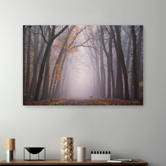 Deer in the Fog Canvas Giclee - Pier 1
