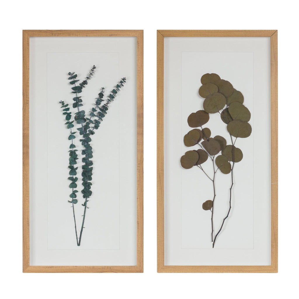 Dried-Eucalyptus-Frame,-Set-of-2-Wall-Art