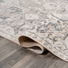 Edith Distressed Medallion Low-Pile Machine-Washable Area Rug - Pier 1
