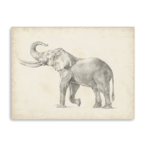 Elephant-Sketch-I-Canvas-Giclee-Wall-Art-Wall-Art