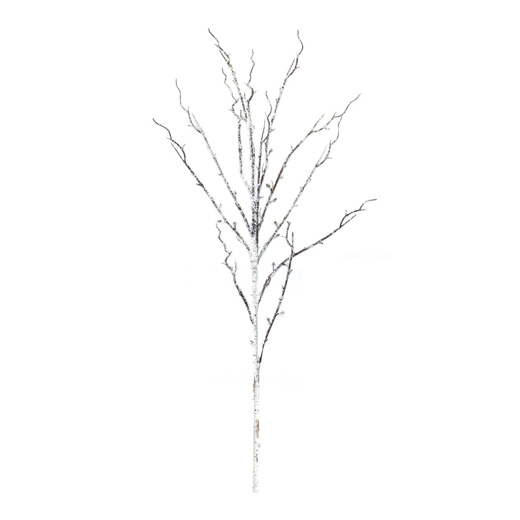 Flocked Birch Twig Branch (Set of 12) - Pier 1