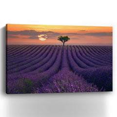 For The Love Of Lavender Canvas Giclee - Pier 1