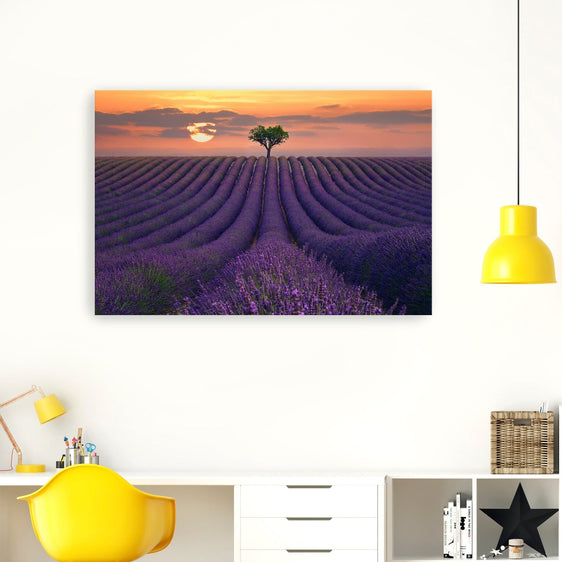 For The Love Of Lavender Canvas Giclee - Pier 1