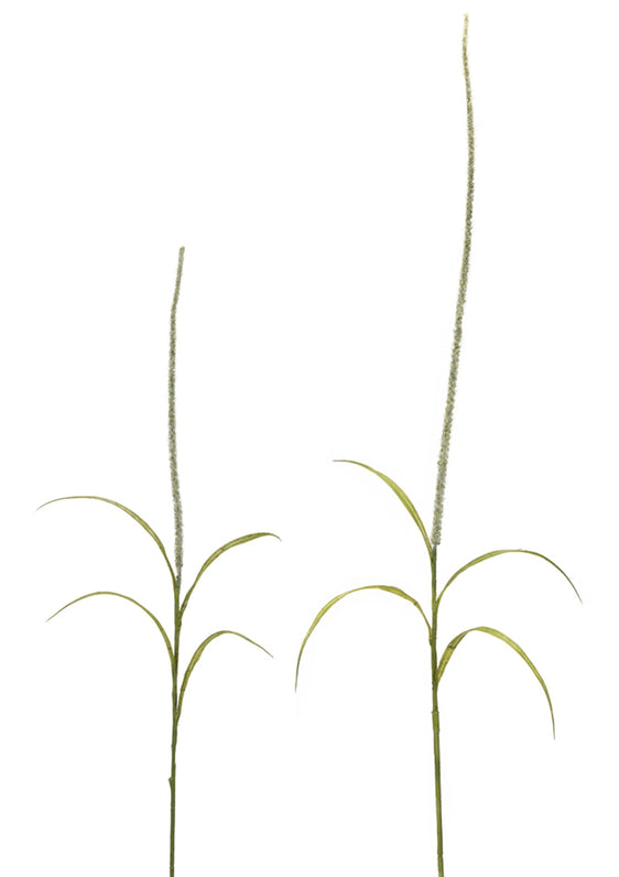 Foxtail-Grass-Spray,-Set-of-6-Faux-Florals