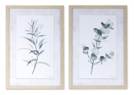 Framed Watercolor Eucalyptus Foliage Print, Set of 2 - Pier 1