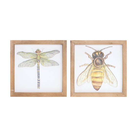 Framed-Watercolor-Insect-Plaque,-Set-of-2-Wall-Art