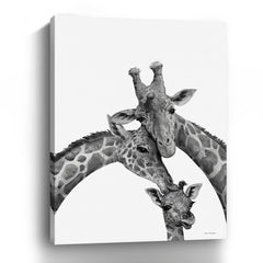 Giraffe Family Canvas Giclee - Pier 1