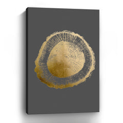 Gold Foil Tree Ring II On Dark Grey Canvas Giclee - Pier 1