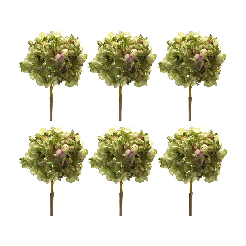 Green Hydrangea Flower Stem (Set of 6) - Pier 1