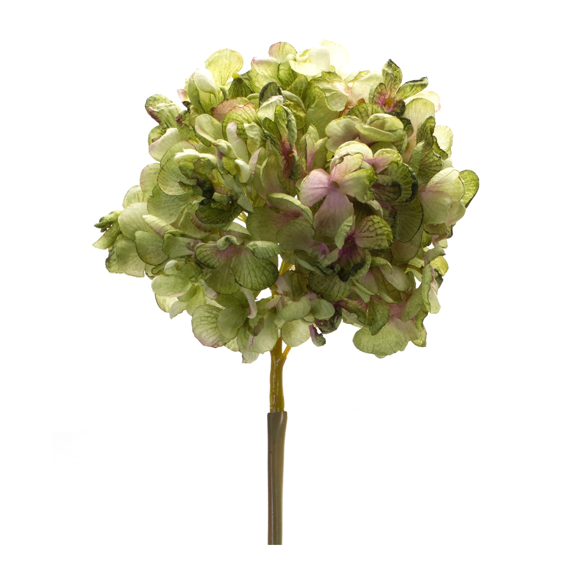 Green Hydrangea Flower Stem (Set of 6) - Pier 1