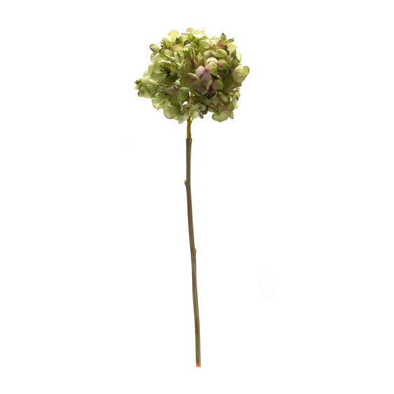 Green-Hydrangea-Flower-Stems,-Set-of-6-Faux-Florals
