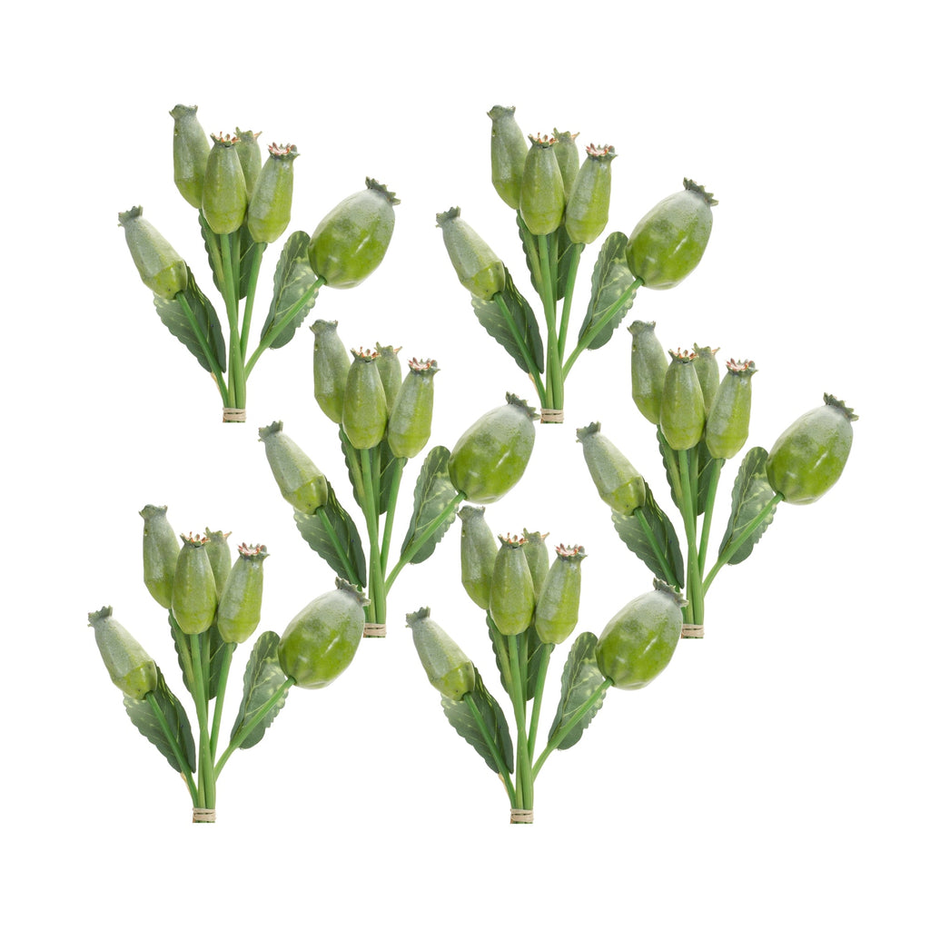 Green Poppy Pod Foliage Bundle (Set of 6) - Pier 1