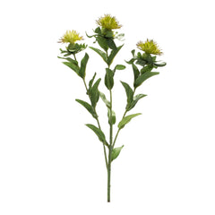 Green Thistle Floral Spray (Set of 6) - Pier 1