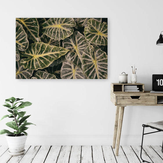 Greenery Abounds Canvas Giclee - Pier 1