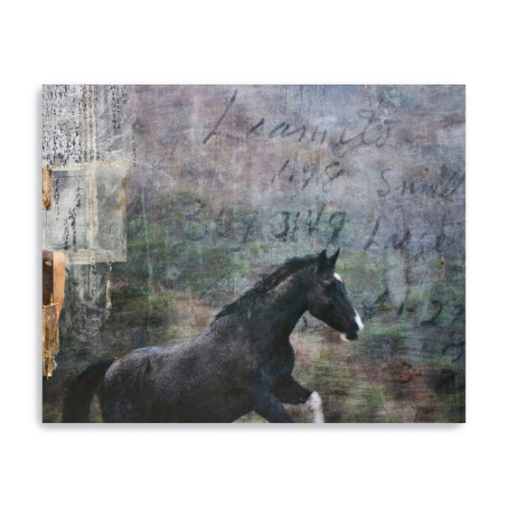 Horse-Exposures-I-Canvas-Giclee-Wall-Art-Wall-Art