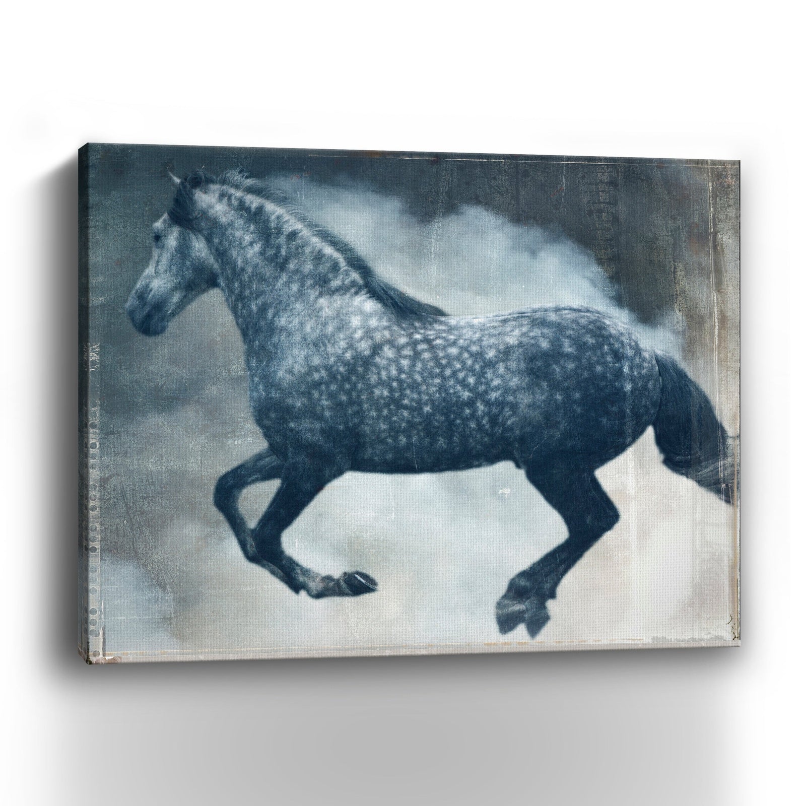 Horse Exposures III Canvas Giclee - Pier 1