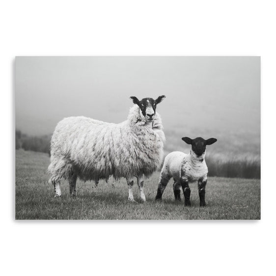 Islay-Sheep-I-Canvas-Giclee-Wall-Art-Wall-Art