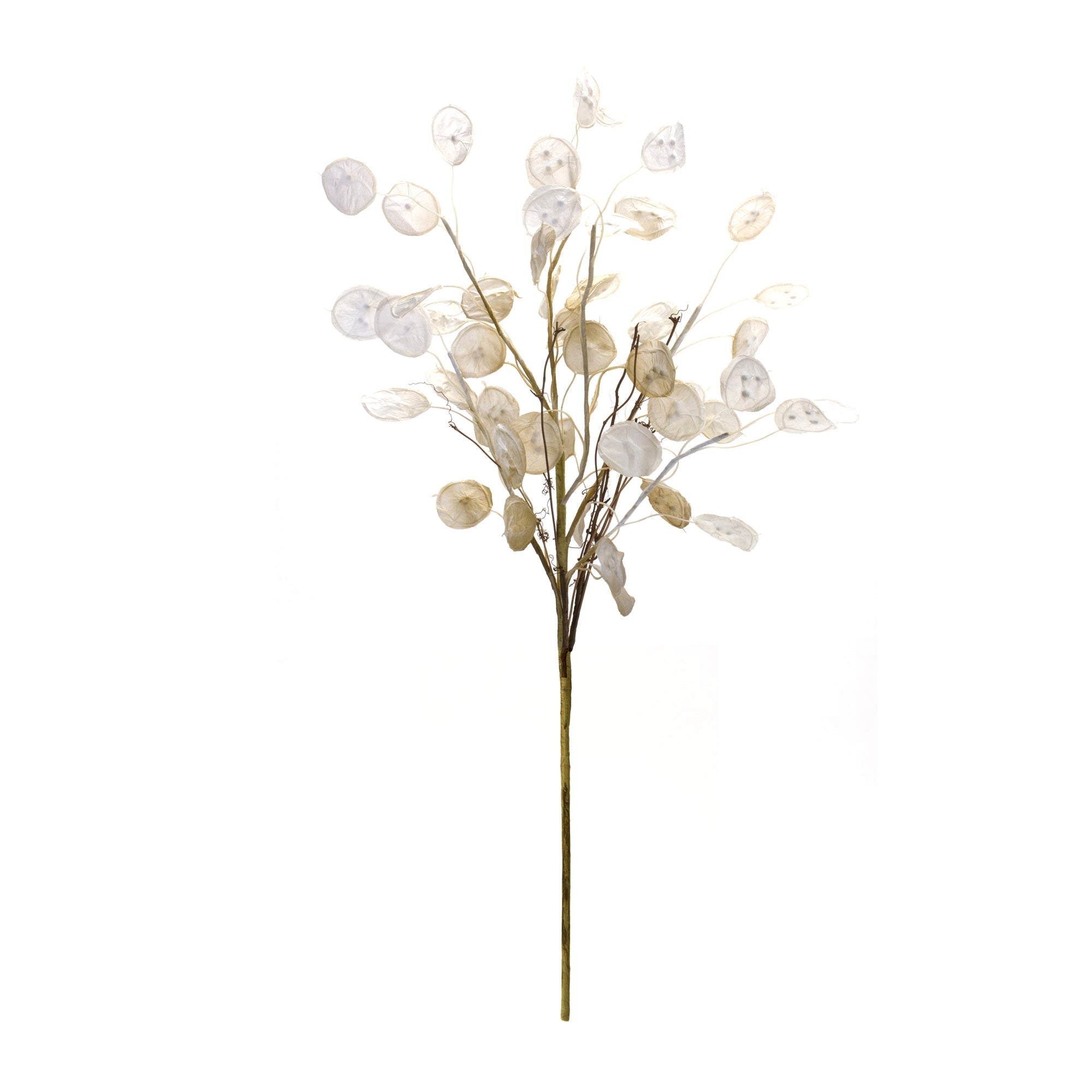 Ivory Silver Dollar Eucalyptus Spray, Set of 2 - Pier 1