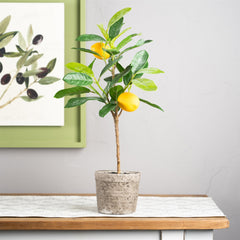 Lemon Fruit Silk Tree with Pot, Set of 2 - Faux Florals