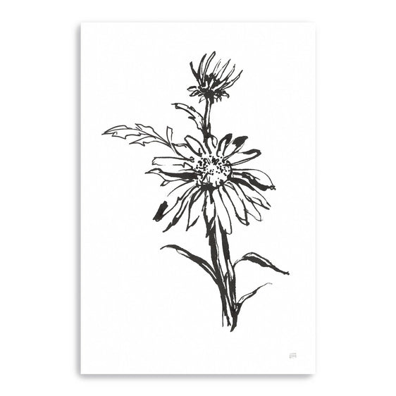 Line-Echinacea-I-Canvas-Giclee-Wall-Art-Wall-Art