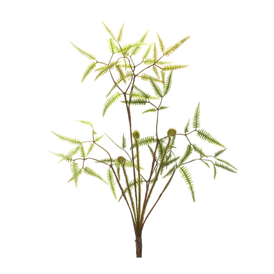 Mini Fern Foliage Bush with Sprout Accent (Set of 6) - Decorative Accessories