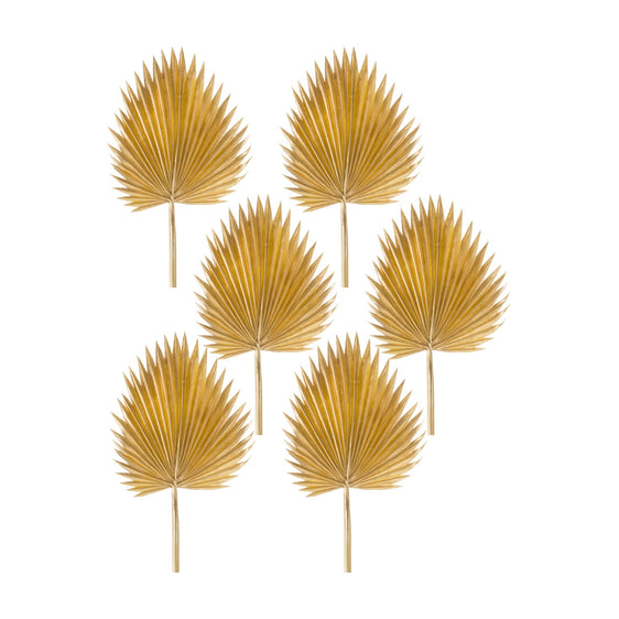 Natural-Gold-Fan-Palm-Leaf-(Set-of-6)-Decorative-Accessories
