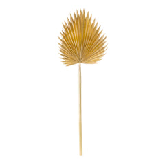 Natural Gold Fan Palm Leaf (Set of 6) - Decorative Accessories