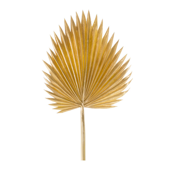Natural Gold Fan Palm Leaf (Set of 6) - Decorative Accessories