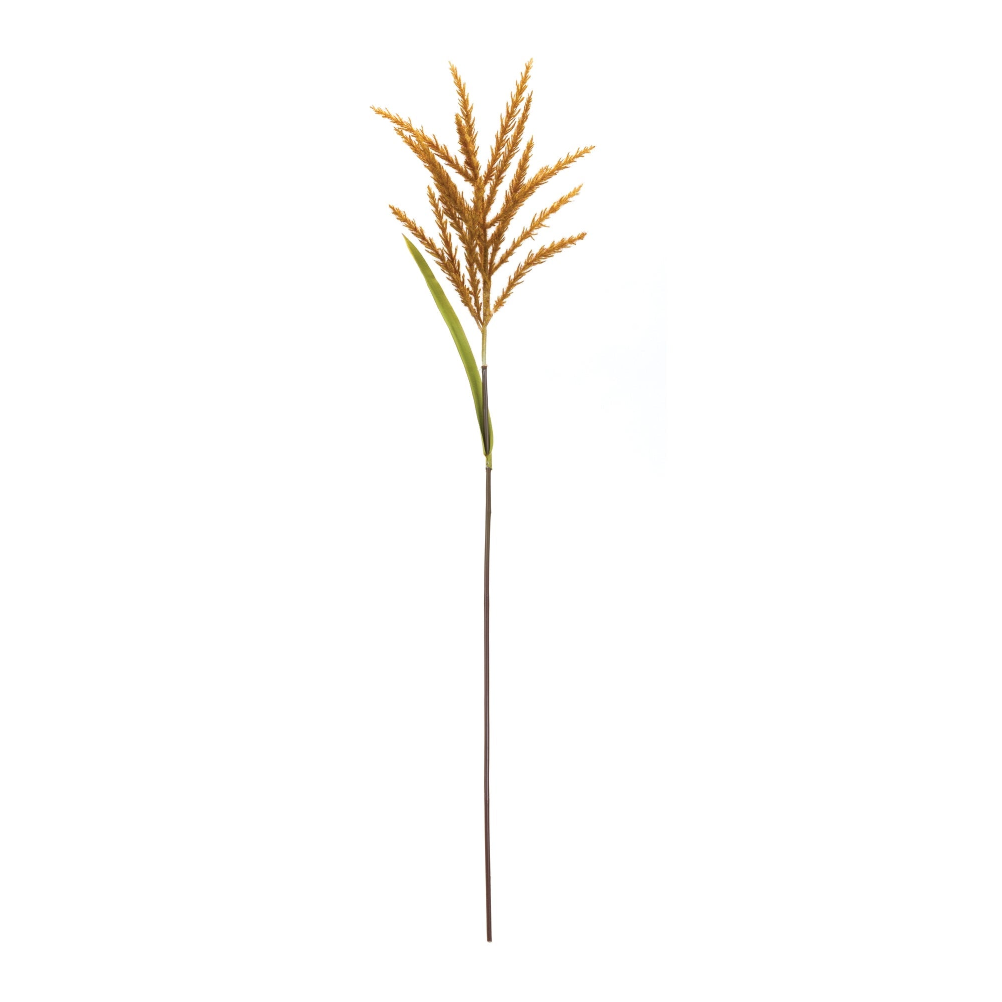 Orange Astilbe Stem, Set of 12 - Faux Florals