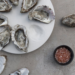 Oyster-Serving-Plate,-White-kitchen