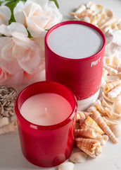 Pier 1 Island Orchard 8oz Boxed Soy Candle - Jar Candles