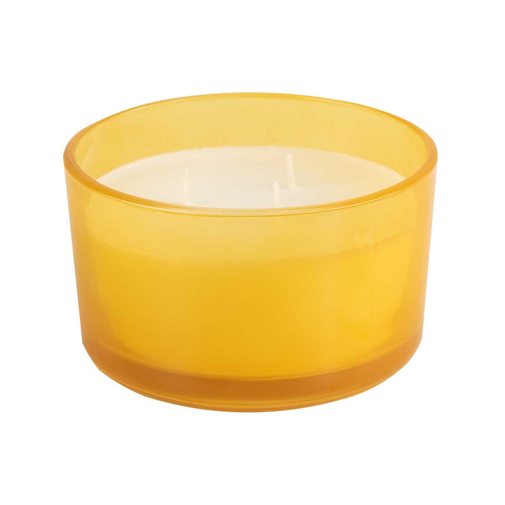 Pier 1 Italian Mimosa 14oz Filled 3-Wick Candle - Pier 1