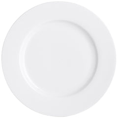 Pier 1 Luminous Porcelain White Dinner Plates, Set of 4 - Dinner Plates