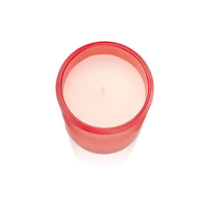 Pier 1 Peppermint Party 8oz Boxed Soy Candle - Jar Candles