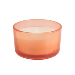 Pier 1 Pink Grapefruit Filled 3-Wick 14oz Candle - 3-Wick Candles