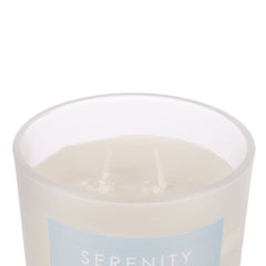 Pier 1 Serenity Sage & Eucalyptus Aromatherapy 9.5 oz Candle - Jar Candles