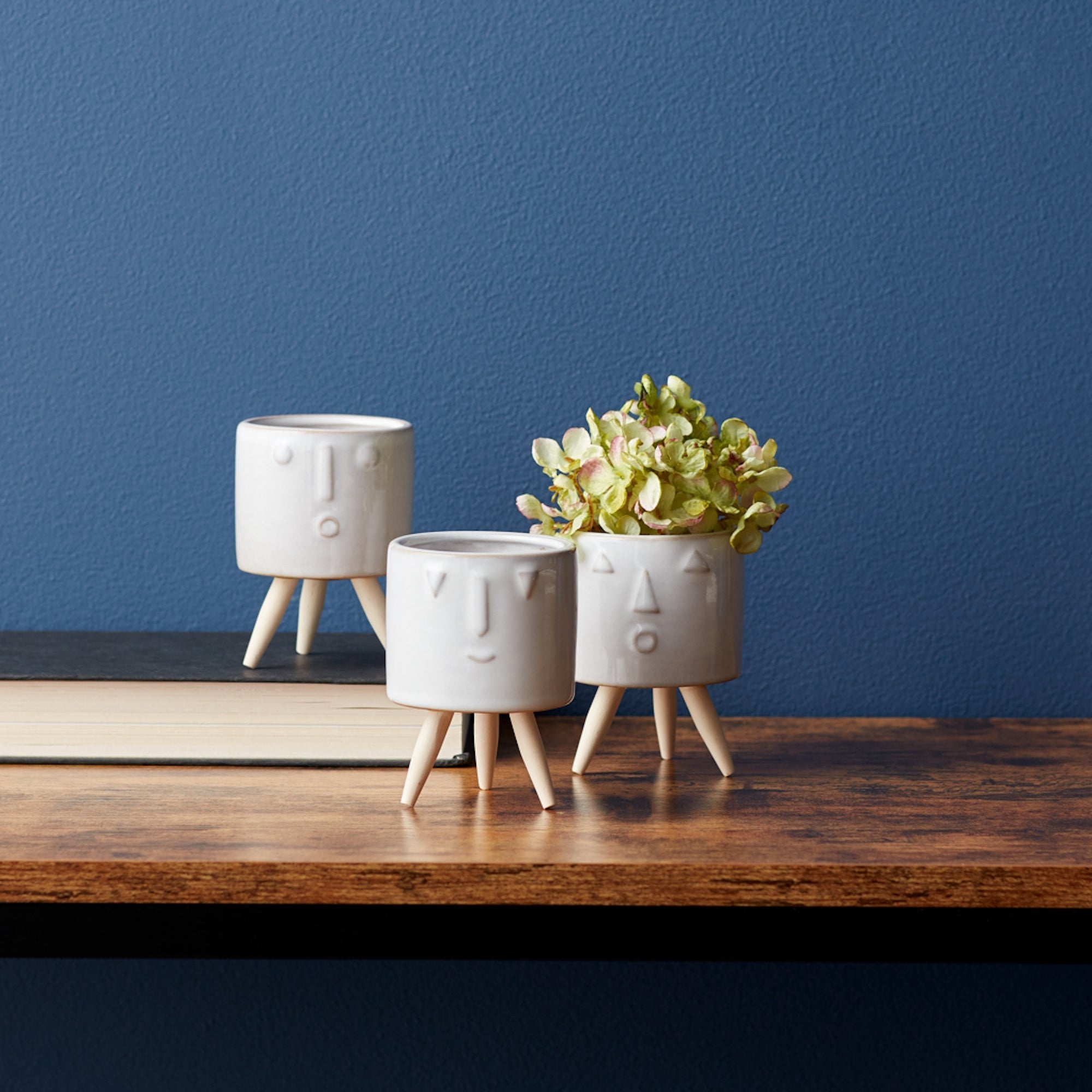pier 1 plant pots Porcelain Face Planter with Wooden Legs (Set of 3)