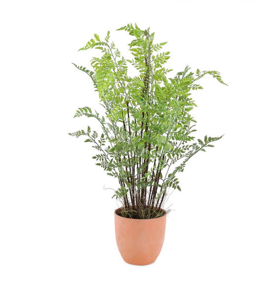 Potted Fern Foliage Plant with Sprouts 30"H - Faux Florals