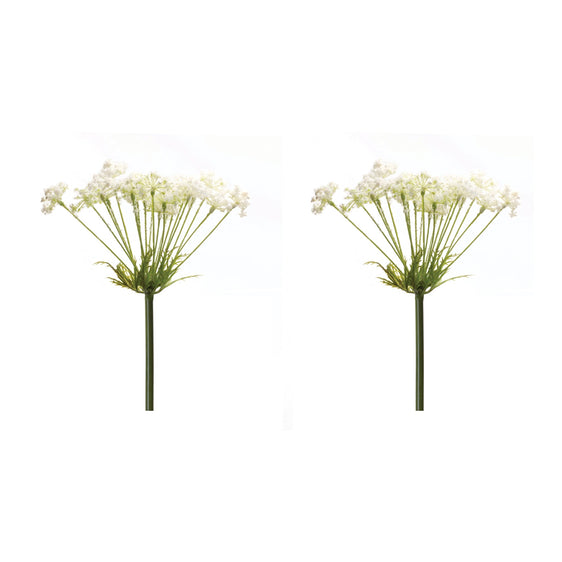 Queen-Anne's-Lace-Stems,-Set-of-2-Faux-Florals