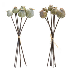 Sage Poppy Pod Foliage Bundle (Set of 6) - Faux Florals