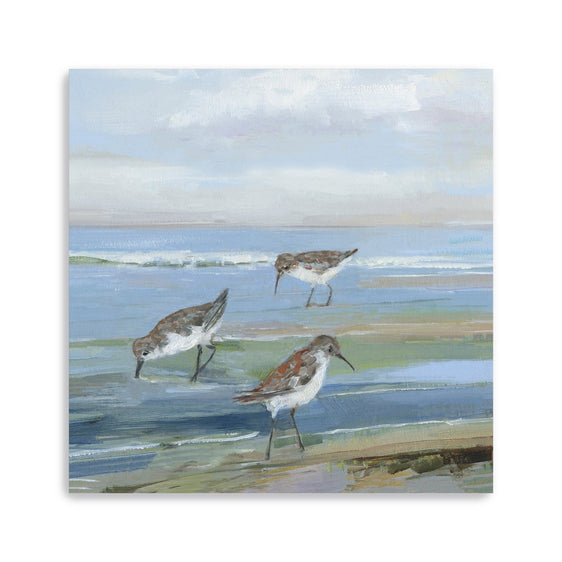 Seabird-Beach-I-Canvas-Giclee-Wall-Art-Wall-Art