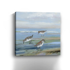 Seabird Beach I Canvas Giclee - Wall Art