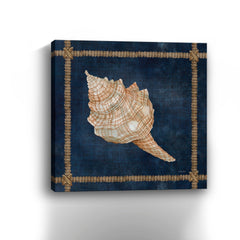 Seashell on Navy IV Canvas Giclee - Wall Art