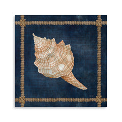 Seashell-On-Navy-Iv-Canvas-Giclee-Wall-Art-Wall-Art