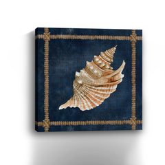 Seashell on Navy V Canvas Giclee - Wall Art