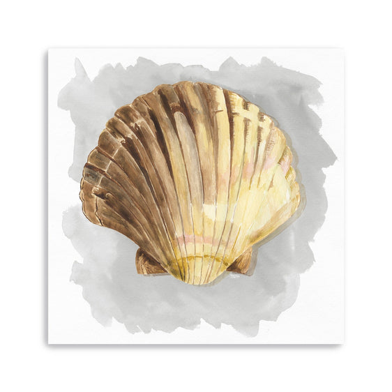 Shells-On-Grey-V-Canvas-Giclee-Wall-Art-Wall-Art