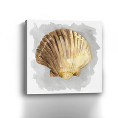 Shells on Grey V Canvas Giclee - Wall Art
